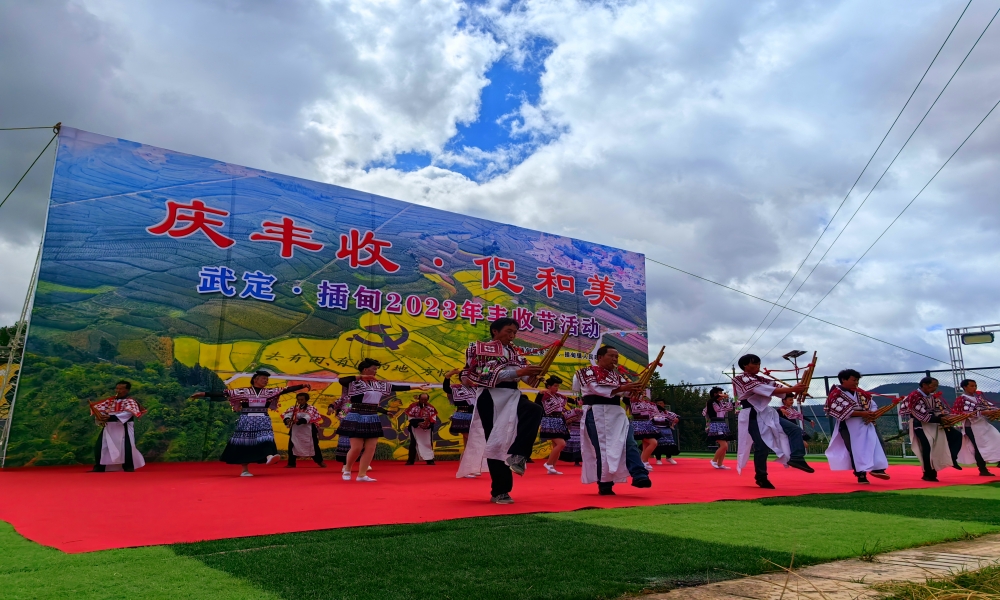 “庆丰收·促和美”武定庆丰收